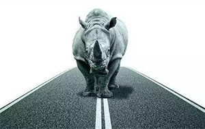 臣通觀點(diǎn)丨小心，中國(guó)產(chǎn)業(yè)園區(qū)的“灰犀?！庇謥砹?！